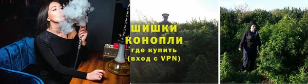 2c-b Алзамай