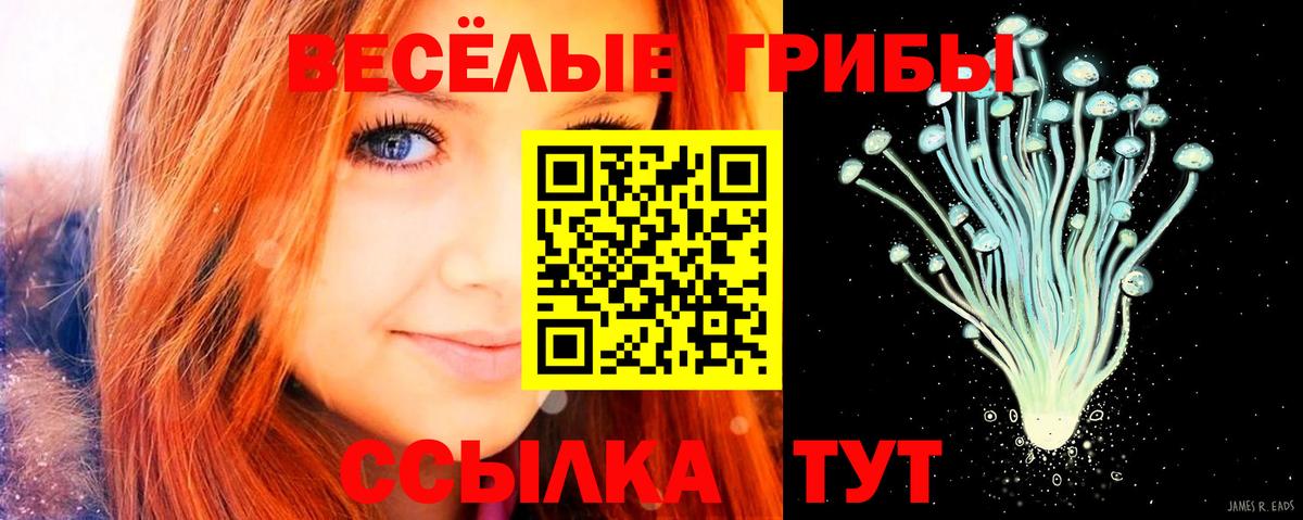 Нурлат  Галлюциногенные грибы GOLDEN TEACHER  дарнет шоп  Вход с VPN 