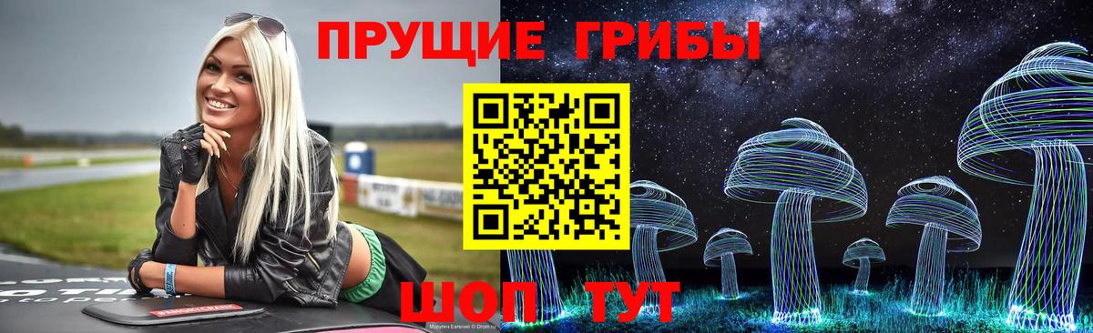 Псилоцибиновые грибы Psilocybe Нурлат